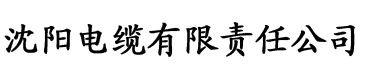 公子每晚都穿越电缆厂logo